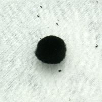 Sort 10 mm pompon(10 stk)